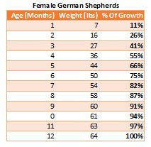 german shepherd puppy growth chart german shepherd growth chart german shepherd puppy growth chart german shepherd growth chart