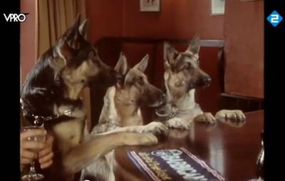 3 German Shepherds at a British Pub...