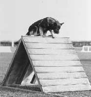 GSD on A frame