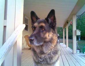 GSD
