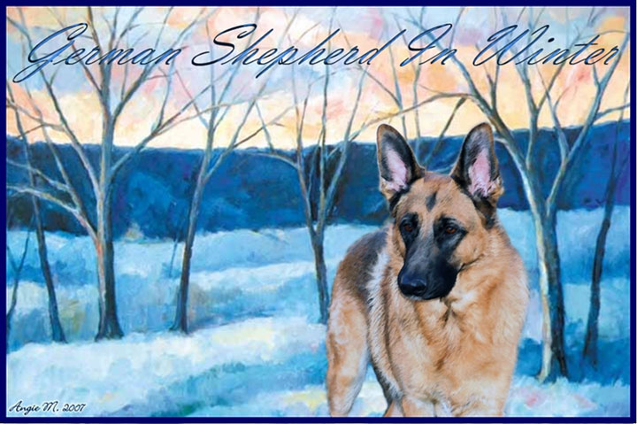 GSD in snow wallpaper