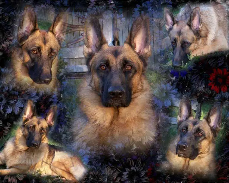 collage wallpaper. GSD collage wallpaper