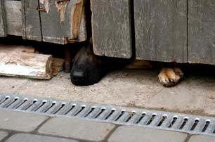 GSD looking under gate