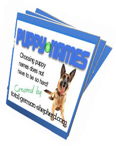 GSD ebook cover