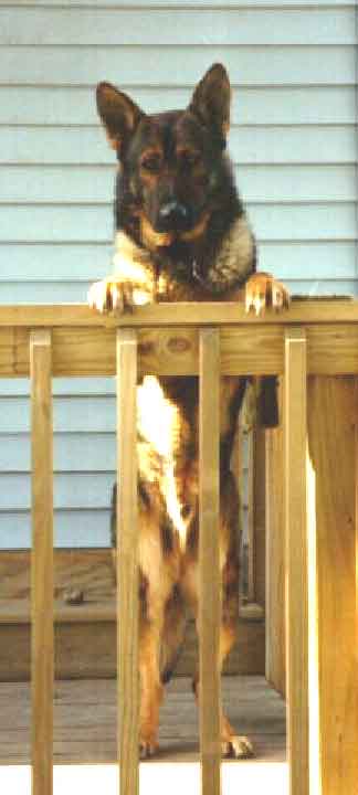 GSD on deck