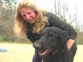 Rescue dog