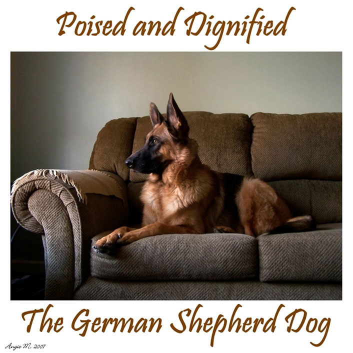 GSD Poised wallpaper