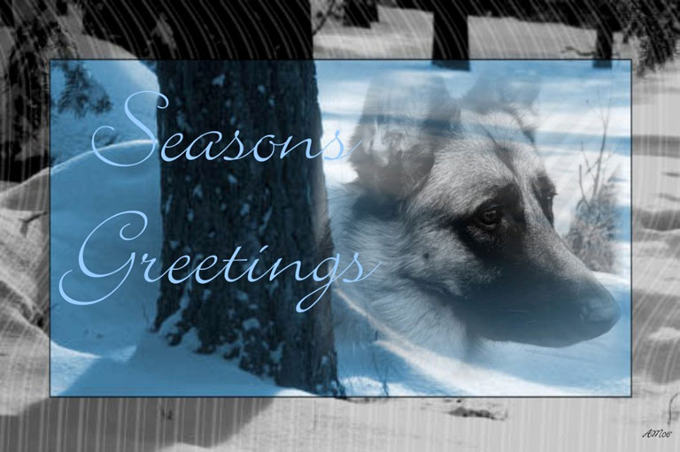 Season Greetings Wallpaper