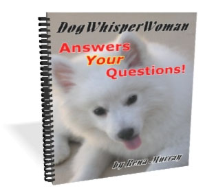 Dog Whisperer Articles