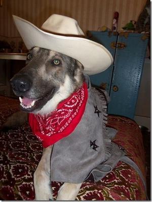 Bronson in his cowboy costume for Halloween