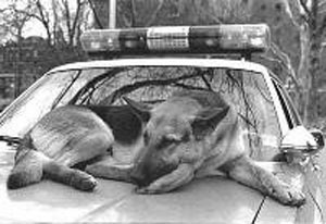 GSD 