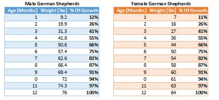 German Shepherd Diet Chart From Birth
