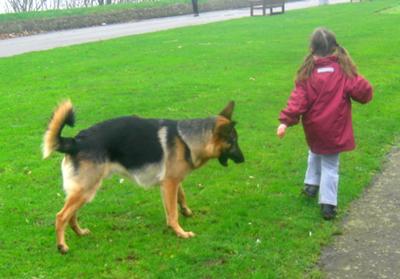 My granddaughter with her GSD friend