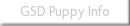 GSD Puppy Info