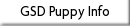 GSD Puppy Info