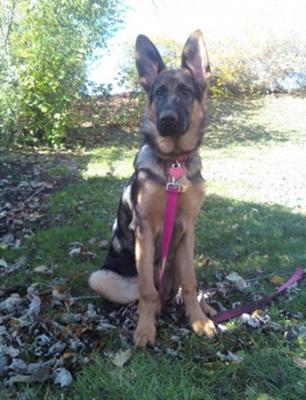 Miya Girl at 5 Months Old