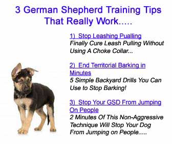 German Shepherd Puppy Exercise Chart