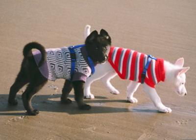 Alexis and brother Logan @ 8 weeks on Oregon Coast