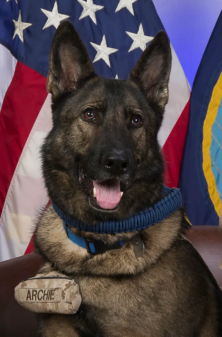 USMC Staff Sergeant, Archie