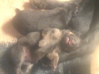 Ahhhh, good stuff Mama!