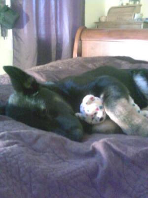 Our Sleepy Bella bear with toy