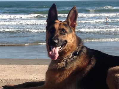 Apache at the Beach