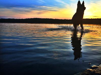 Day on the lake.