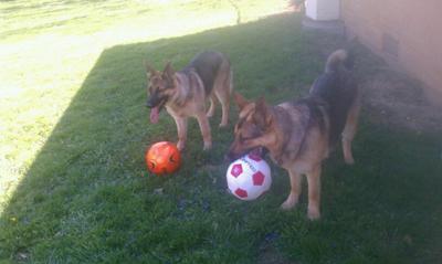 Our girls with their favorite toys