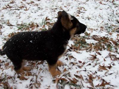 Sabien's First Snow Day