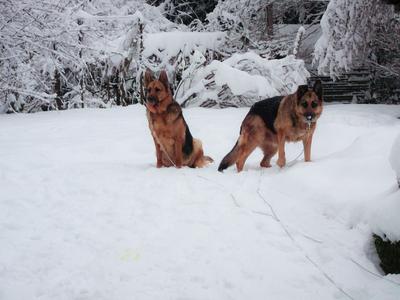 Their first snow