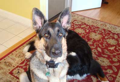 Klaus