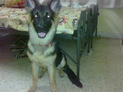 5 months old!
