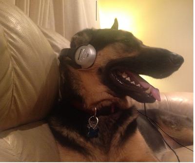 My Musical GSD