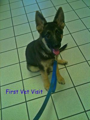 Texas Ranger, Isn't He a Cutie?!