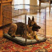 crate for german shepherd puppy