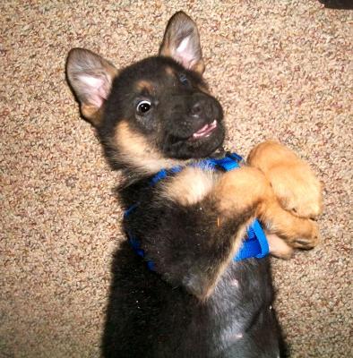 I know I'm cute...