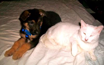 Jake and Powder!