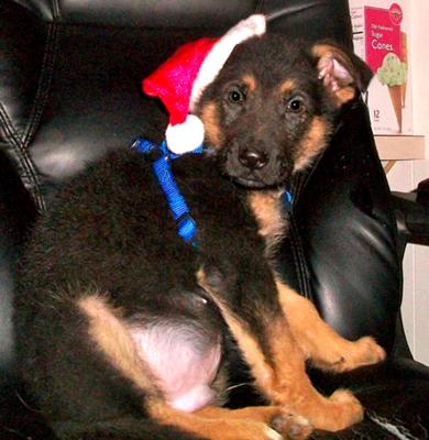 Merry Christmas!