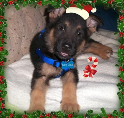 Merry Christmas!