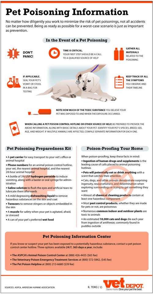 Dog Toxicity Chart