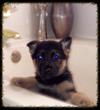 Dakota in the tub
