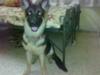 5 months old!