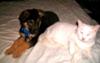 Jake and Powder!
