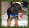 Merry Christmas!