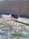 outside as she enjoyed