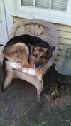 queen on her throne