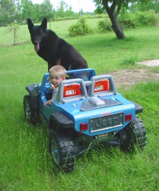 Black German Shepherd with boy