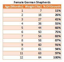 Newborn Puppy Weight Chart