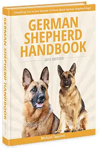 Top Female German Shepherd Names Hundreds To Choose From