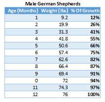 German Shepherd Growth Chart By Height